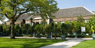 Hortus Botanicus Leiden  - foto 2