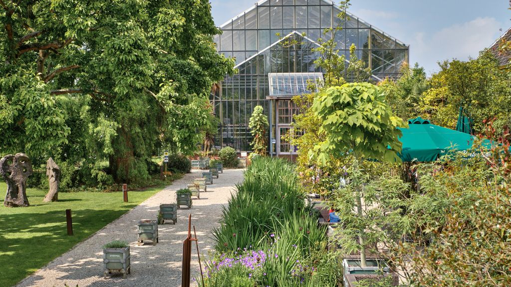 Hortus Botanicus Leiden 