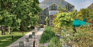 Hortus Botanicus Leiden  - foto 3