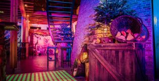 Korenmolen Princenhage Breda - foto 3