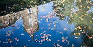 Kasteel Henkenshage - foto 3