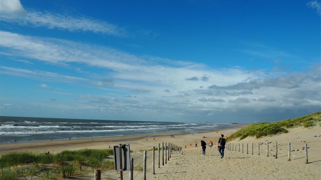 Parnassia aan Zee