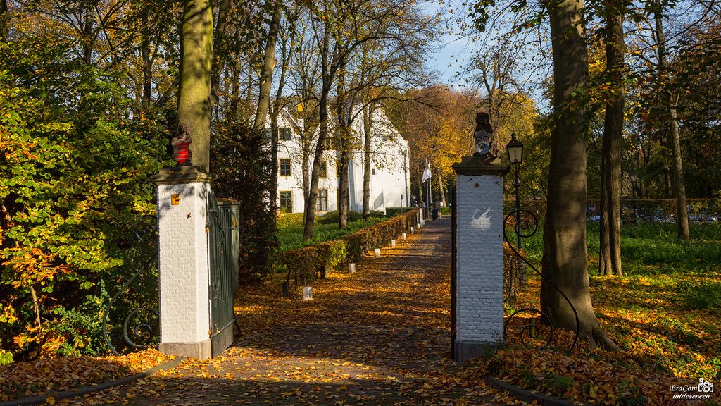 Het Kasteel van Rhoon