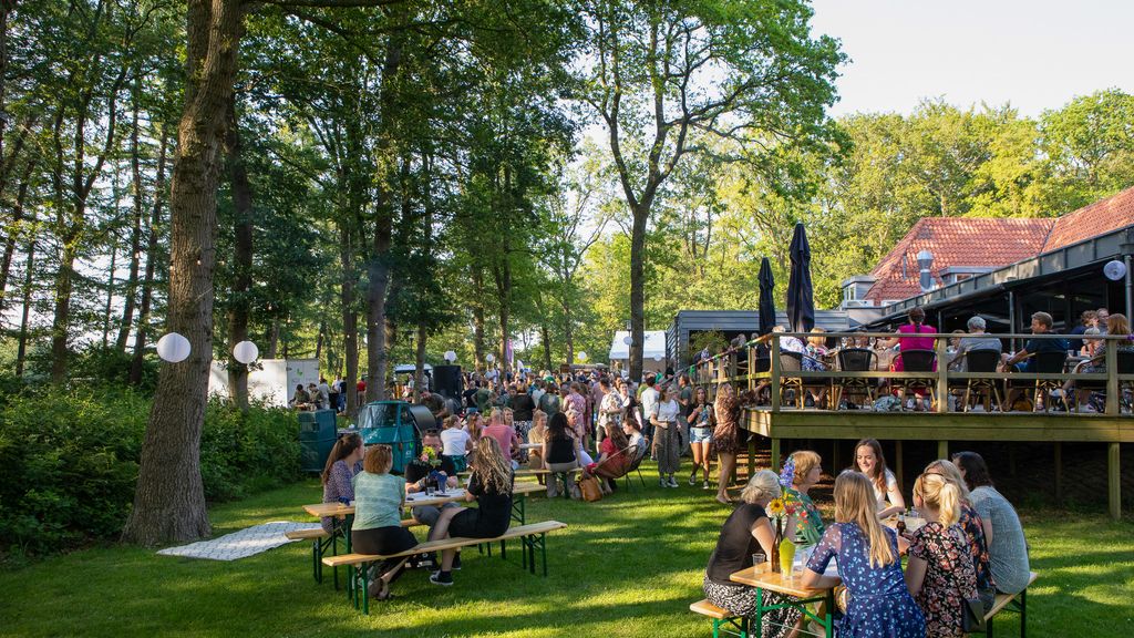 Nieuw Allardsoog - foto 2