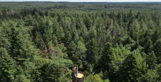 Kasteel in het Woud - foto 1