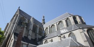 Grote Sint Laurenskerk Alkmaar - foto 2