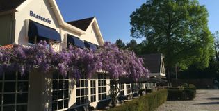 De Soester Duinen - foto 2