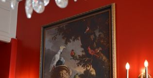 MAF Haarlem - Zijlstraat 62 - foto 3