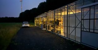 Paviljoen MFH - foto 4