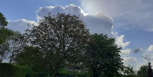De VertelTuin