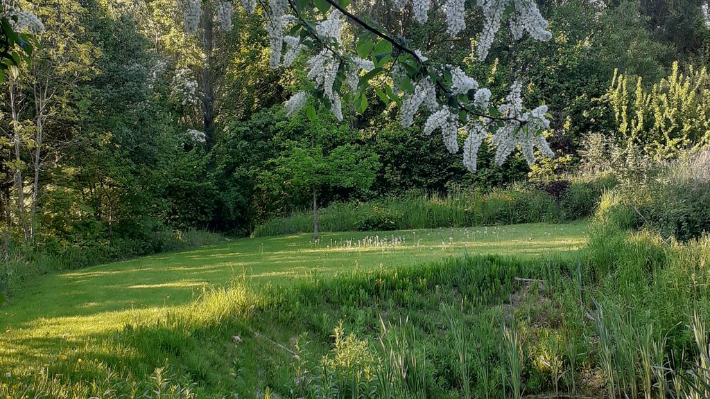 De VertelTuin - foto 2