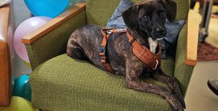 Het Arbeiderspaleis - foto 7