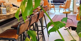 Het Arbeiderspaleis - foto 16