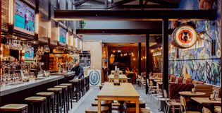 Lawaaipapegaai - foto 3