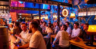 Lawaaipapegaai - foto 2