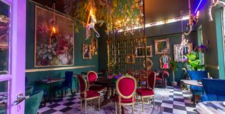 Funky Monkey - foto 1