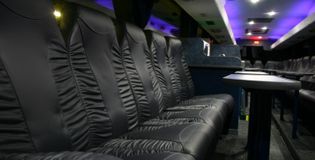 Vipbus - foto 2
