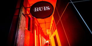 Ruis Alkmaar - foto 2