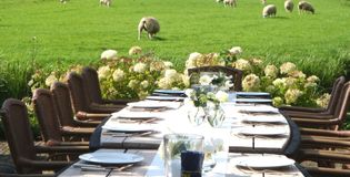 De Steinsetuin - foto 3