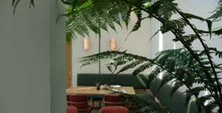 Safar bij Maison Haas Hustinx - foto 3